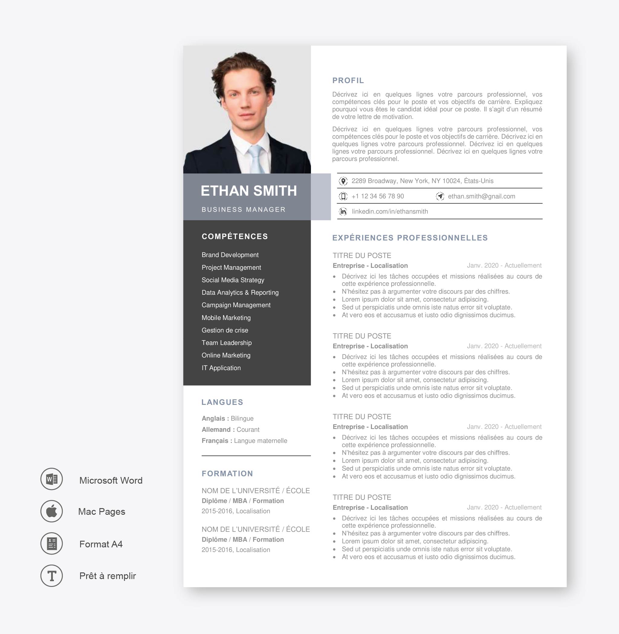 Modèle de CV Berlin Gris