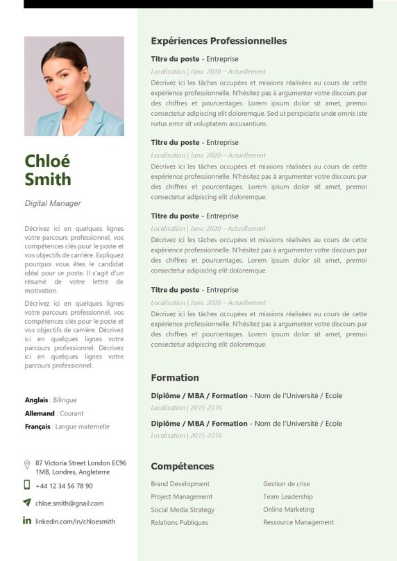 modele-de-cv-hong-kong-pret-a-remplir-word-2012c