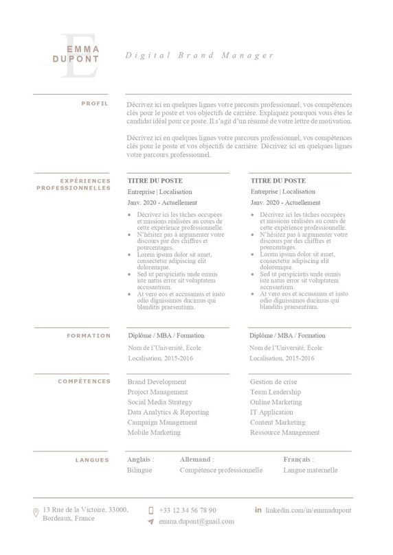 modele-de-cv-new-york-pret-a-remplir-word-205a