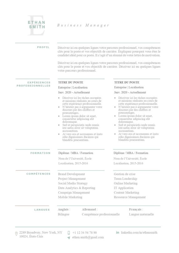 modele-de-cv-new-york-pret-a-remplir-word-205b