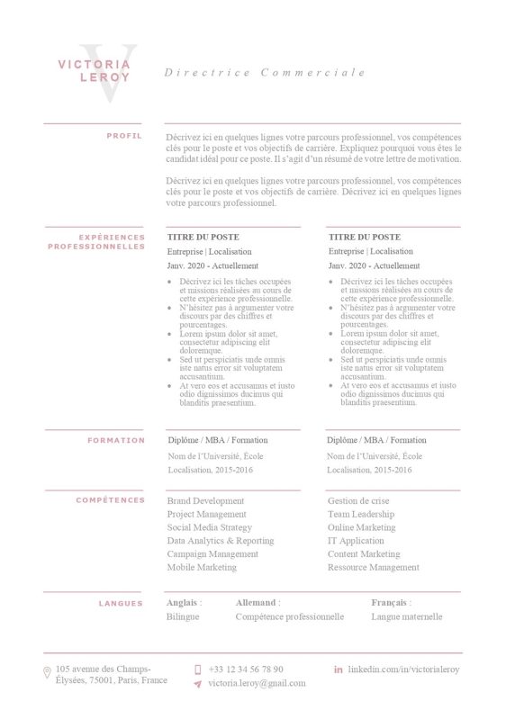 modele-de-cv-new-york-pret-a-remplir-word-205c