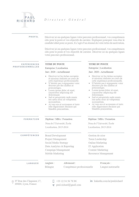 modele-de-cv-new-york-pret-a-remplir-word-205d