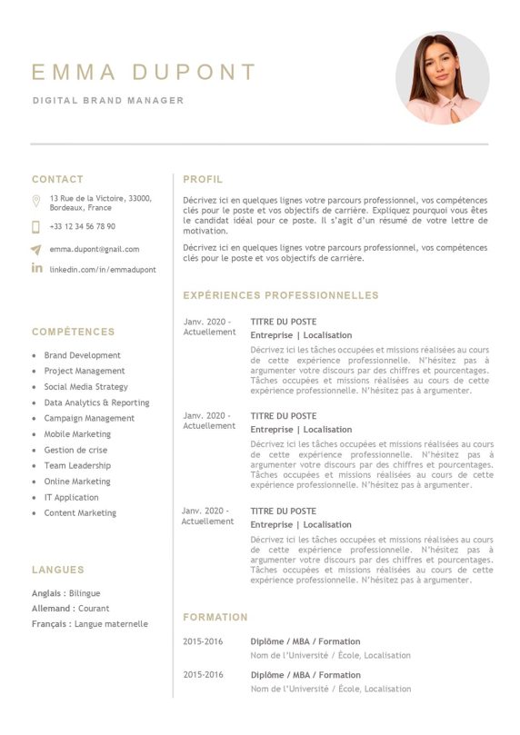 modele-de-cv-paris-pret-a-remplir-word-203a