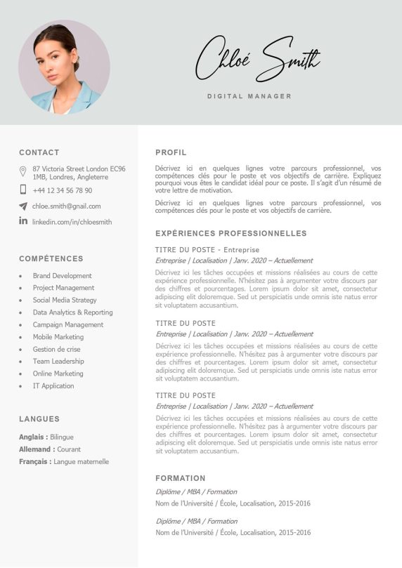 modele-de-cv-san-francisco-pret-a-remplir-word-204c