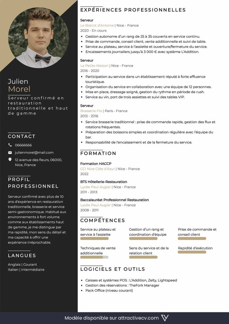 cv serveur