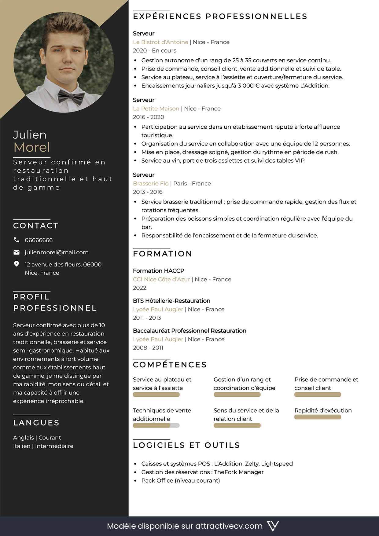 cv serveur