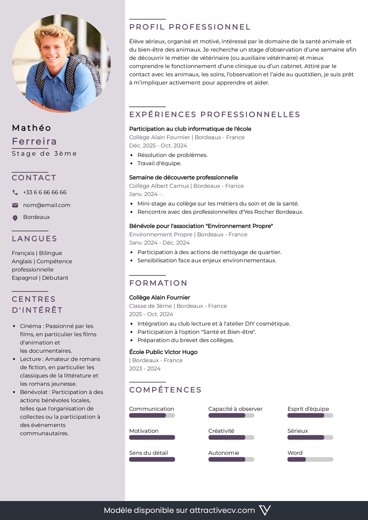 cv-stage-3eme-en-ligne