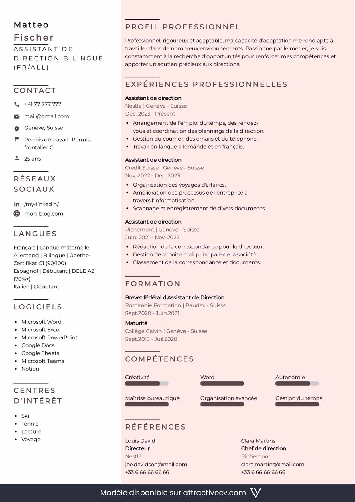 cv suisse sans photo exemple modèle professionnel suisse sans photo