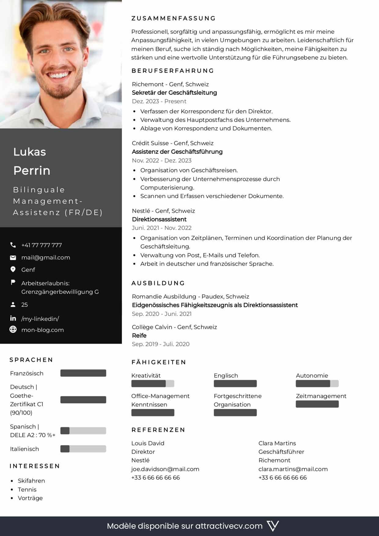modèle de cv suisse allemand lebenslauf professionnel