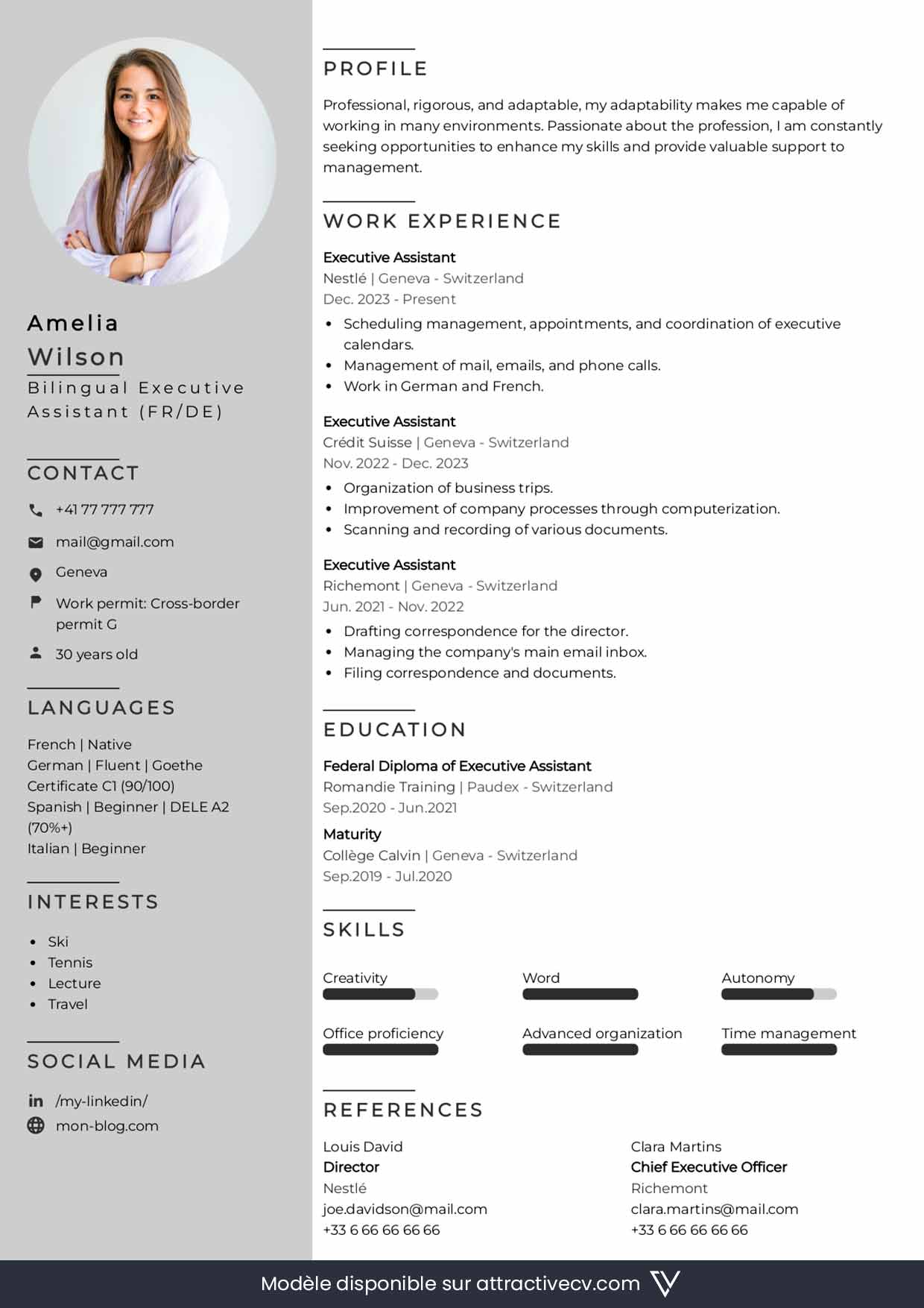 template swiss cv english professional
