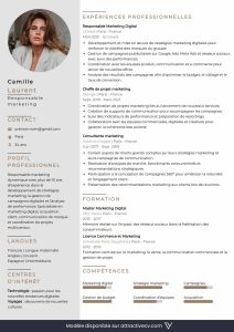 exemple cv marketing a telecharger
